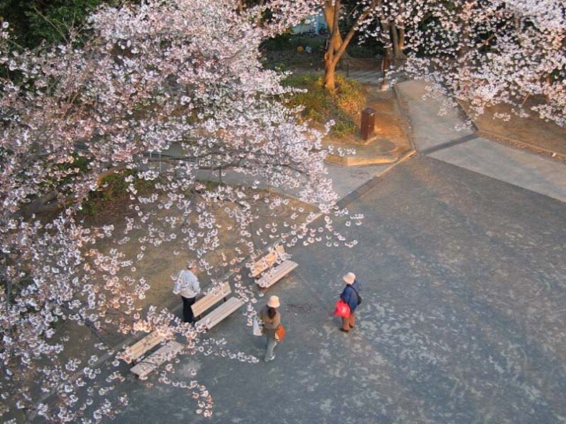 弘明寺公園