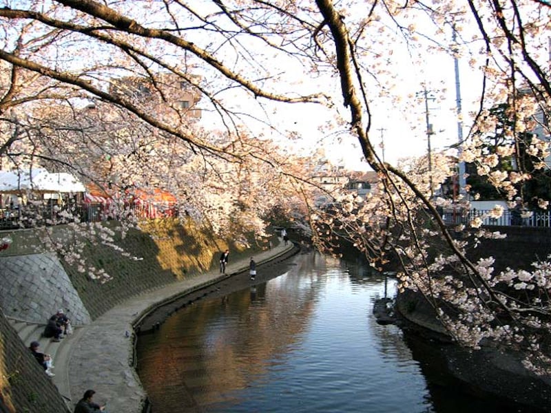 大岡川プロムナード