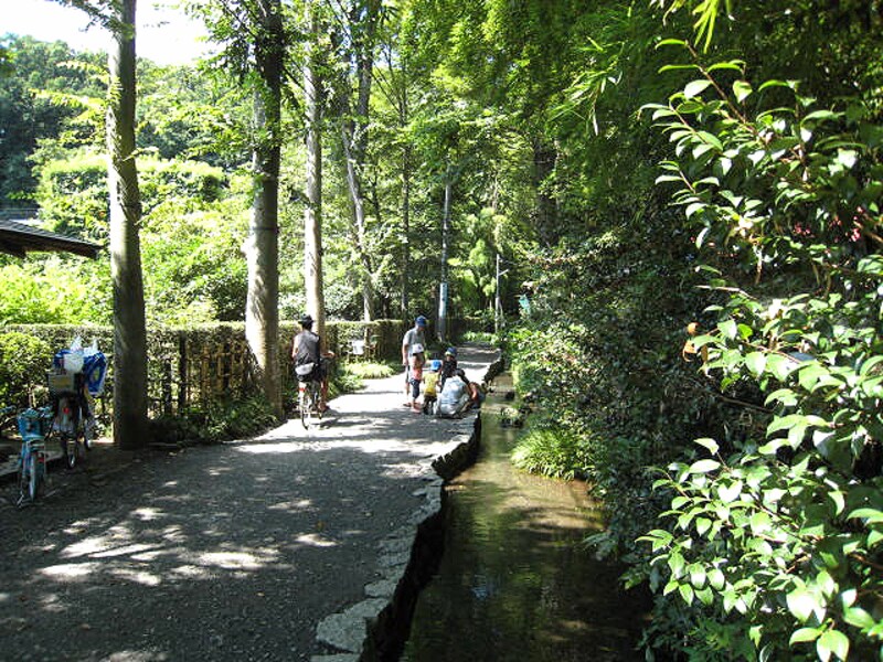 国分寺お鷹の道