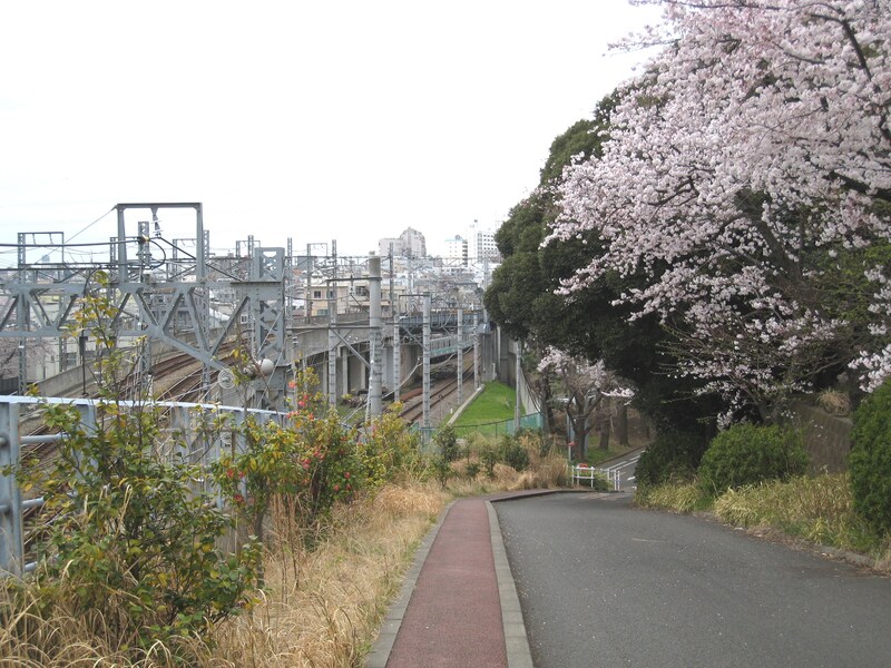 緑ヶ丘方面への坂