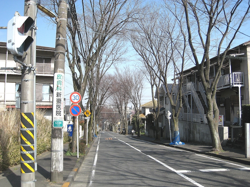 もえぎのこかげみち