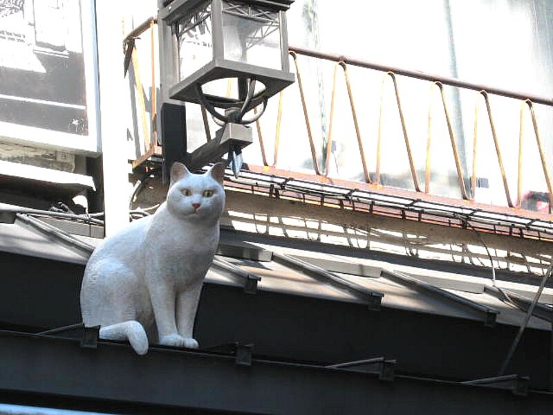 谷中銀座の猫