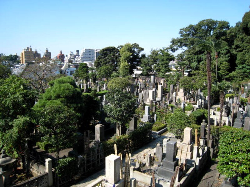 全生庵からの風景