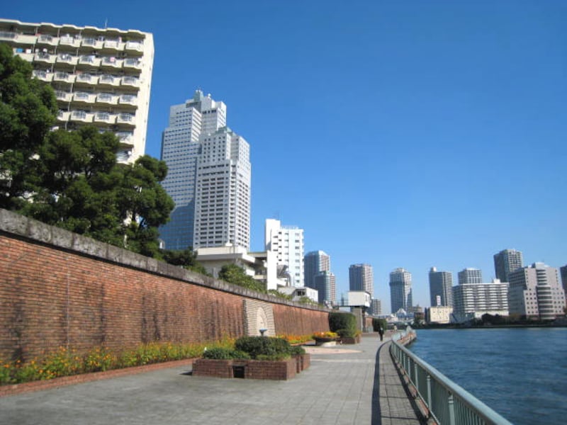 日当たりの良い川べりのマンション