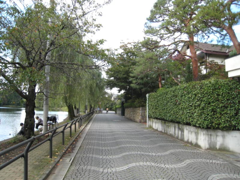 池のほとりの住宅街