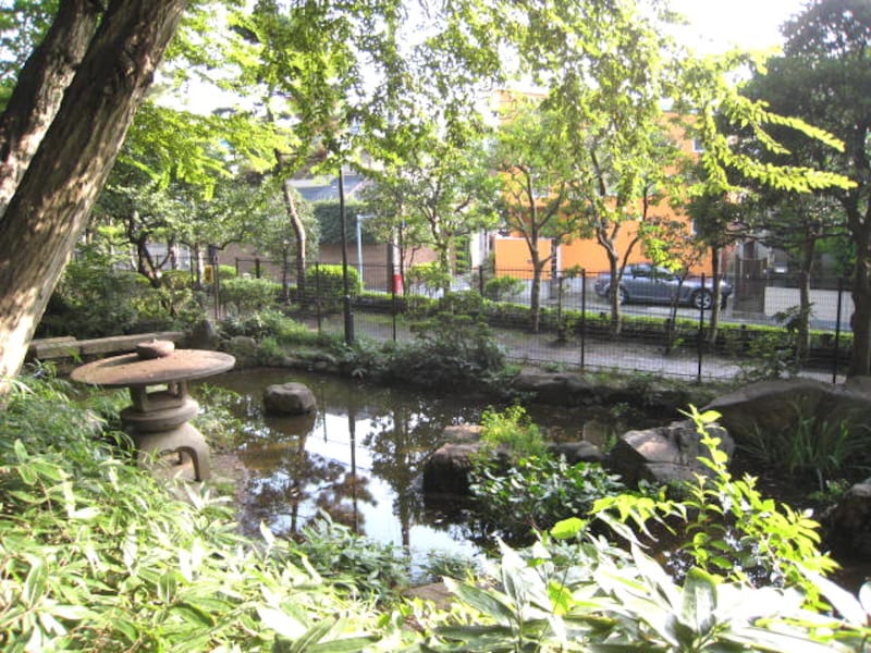 柏の宮公園