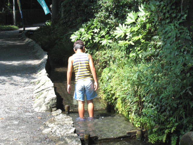 せせらぎで遊ぶ子ども