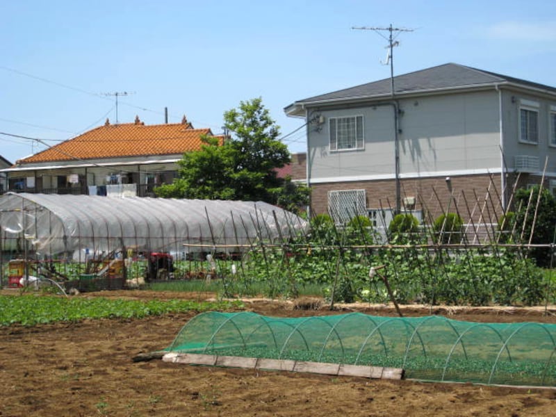 畑が混在する住宅地