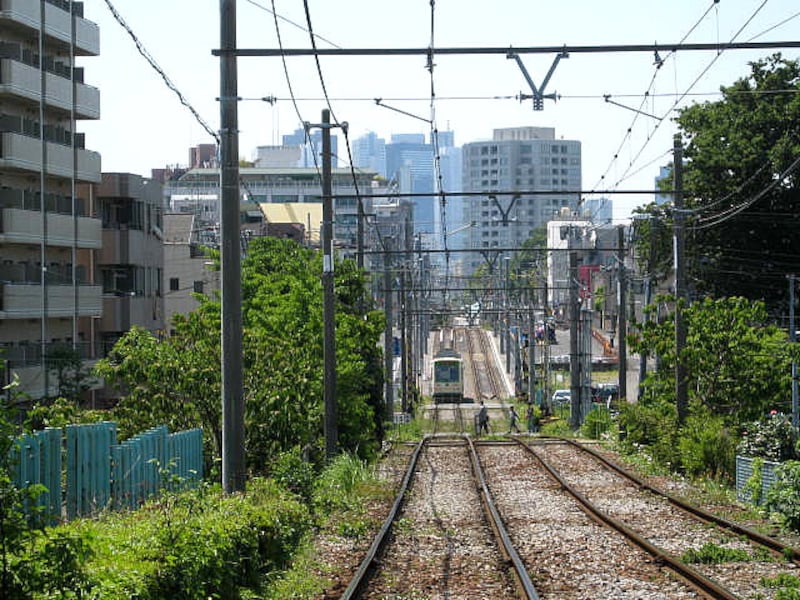 雑司が谷周辺