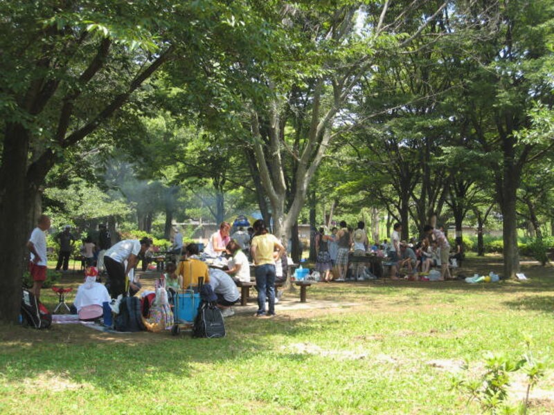 篠崎公園