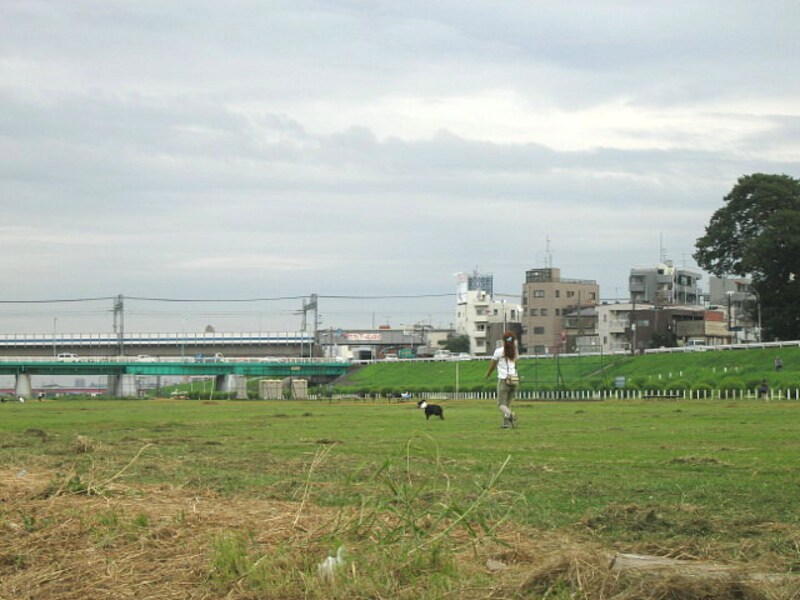 多摩川の川原