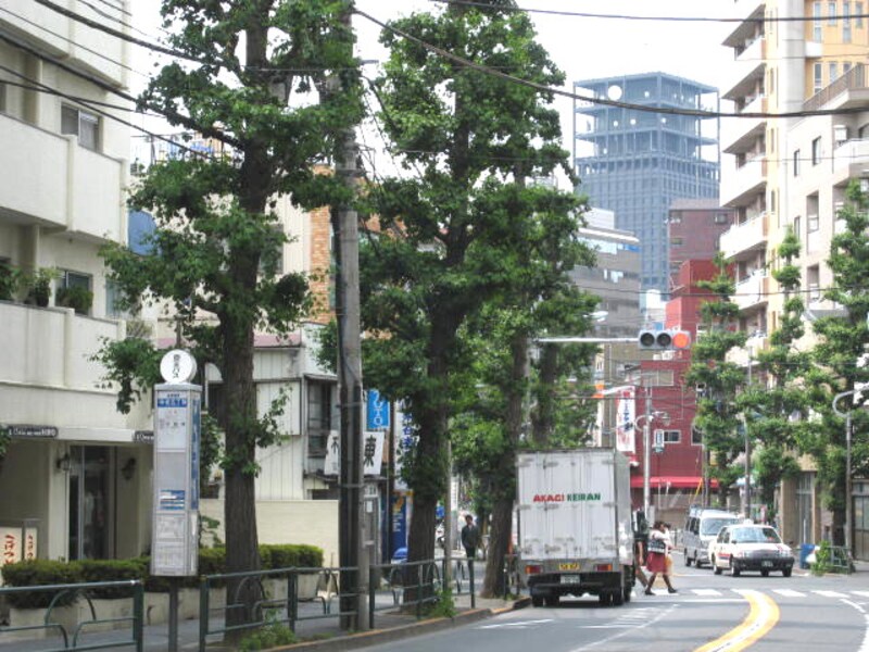 通り沿い