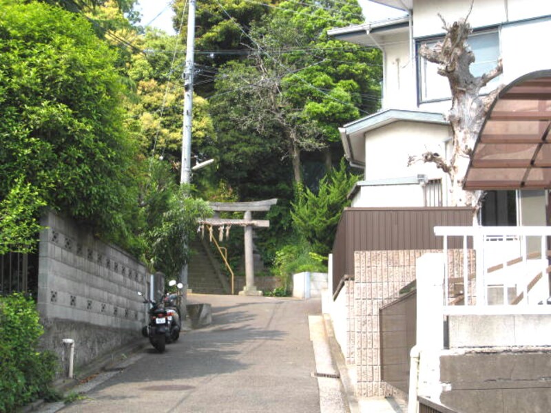 住宅の背後に緑