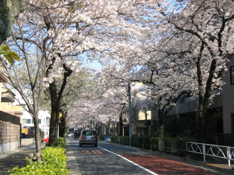 碑文谷の住宅街