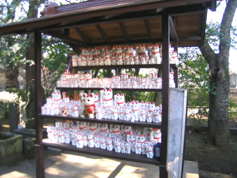 豪徳寺の猫