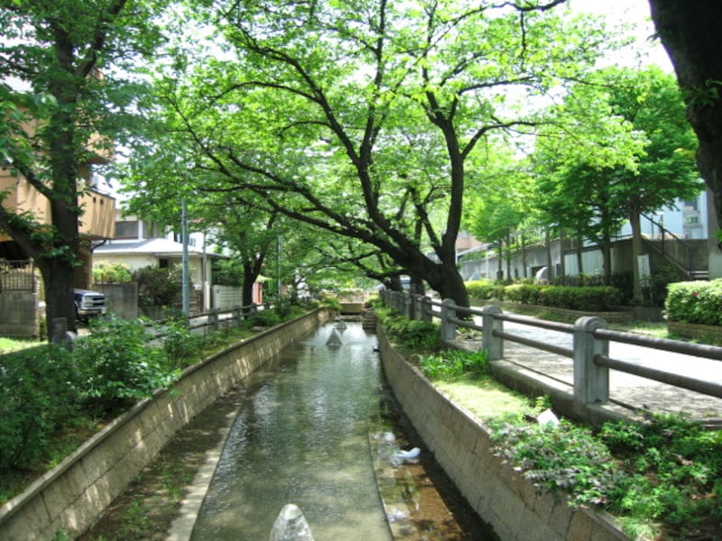 環境の良い立地