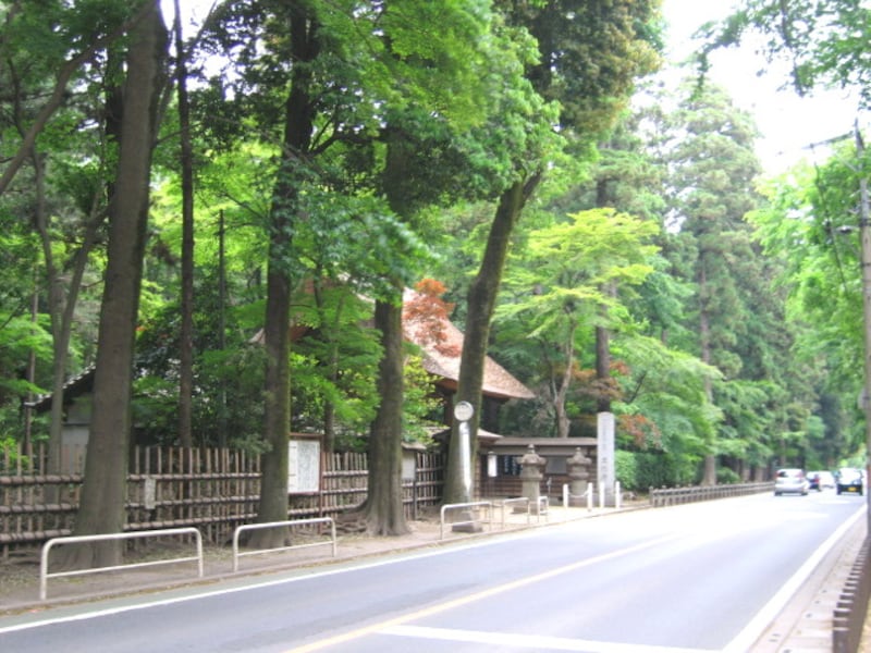 緑の多い平林寺