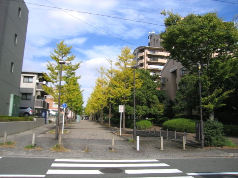 中川周辺の街並み