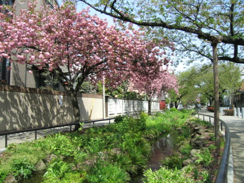 世田谷区代沢