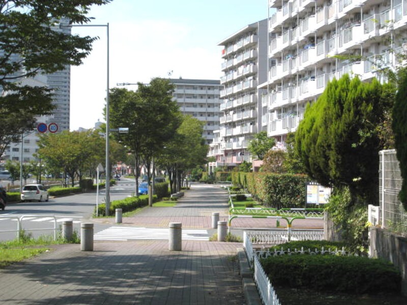 けやき通り周辺