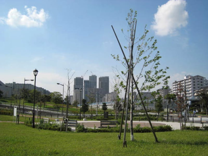 都立汐入公園