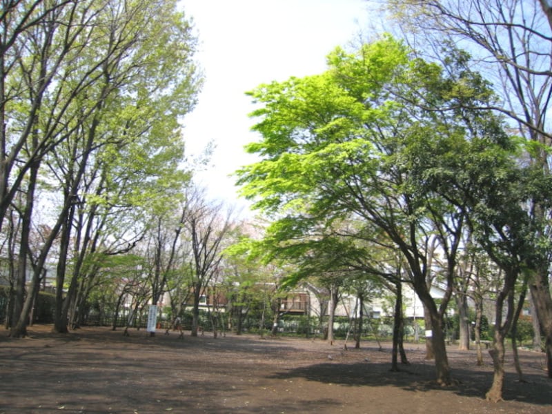 目黒中央緑地公園