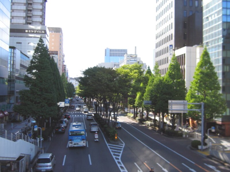 市内中心部の道路