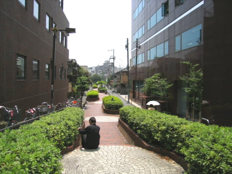 谷端川の緑道