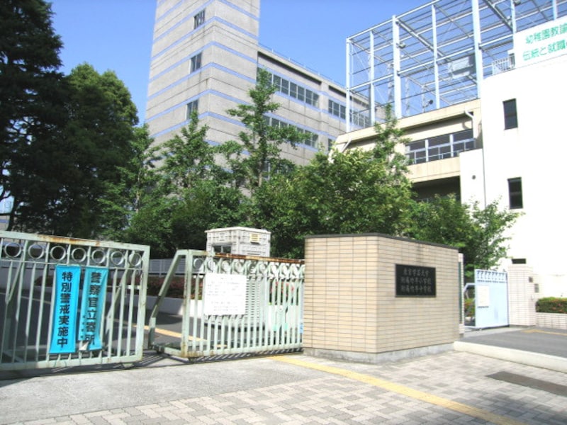 春日通り沿いの竹早高校、学大付属校など