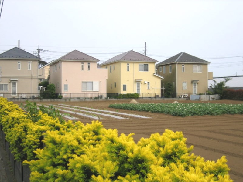 新座市内の一戸建て