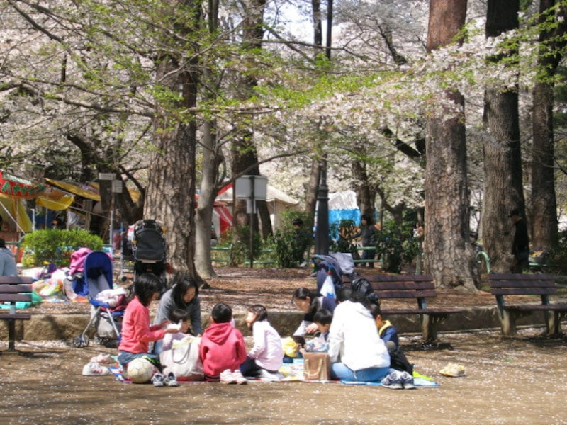 大宮公園の家族連れ