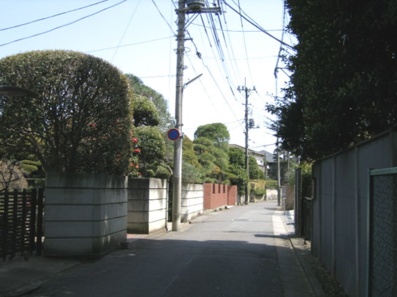 大宮公園周辺の住宅街