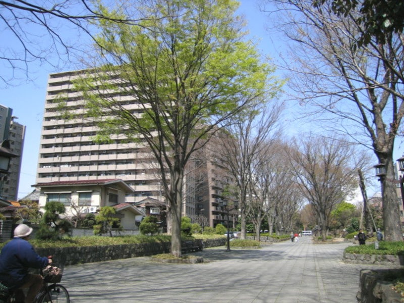 氷川神社参道