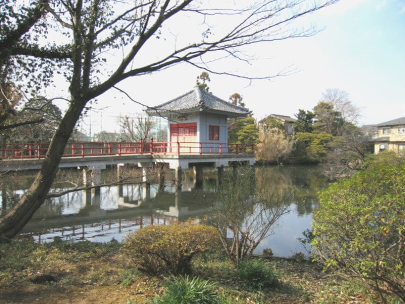 高源院の鴨池