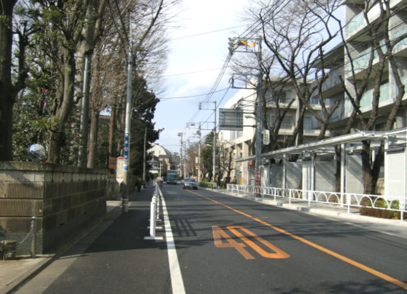 屋敷林
