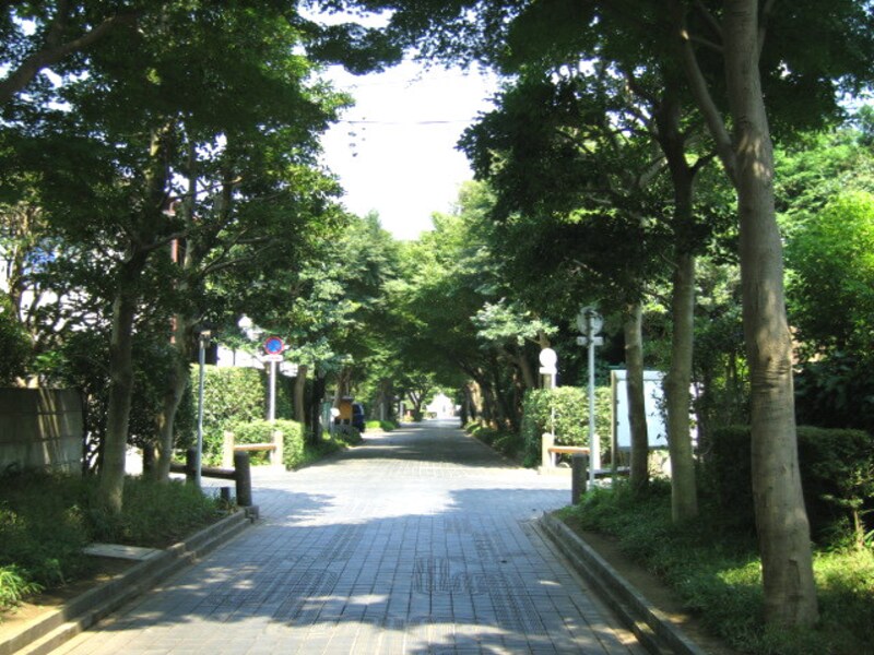 緑の多い住宅街