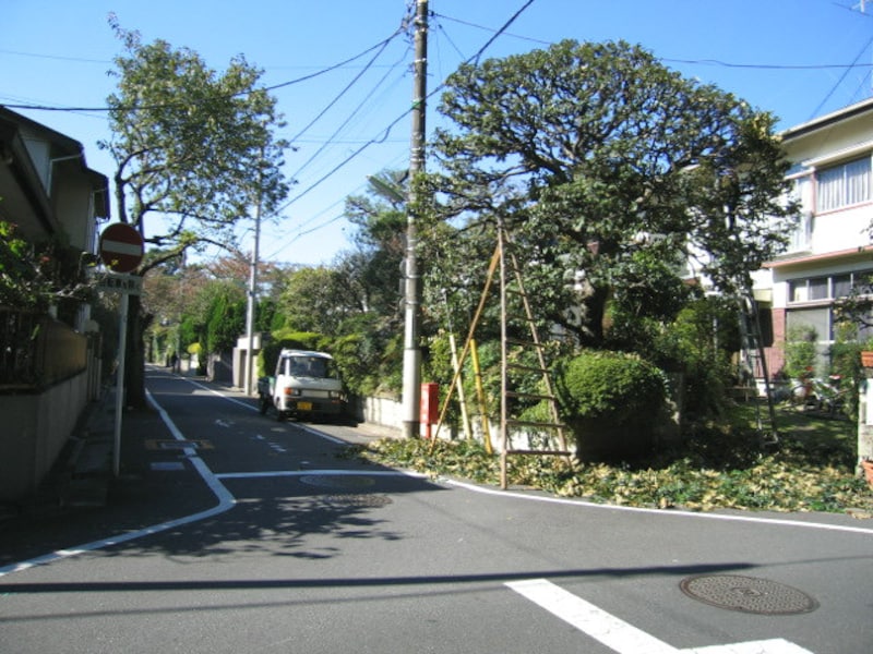 手入れ中の植木職人