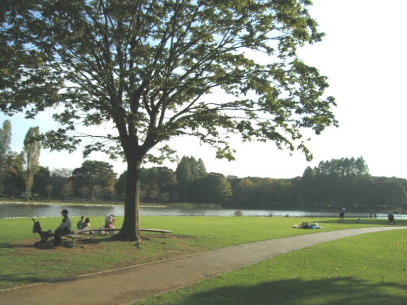 洞峰公園