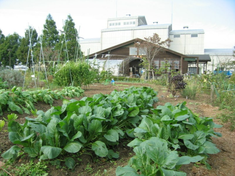 JAつくば市の農園