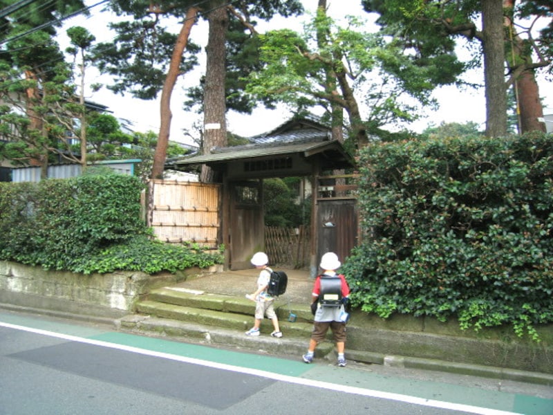 桜の住宅街