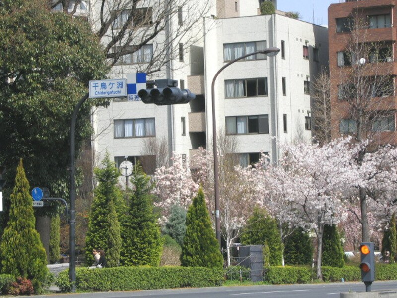 千代田区千鳥淵