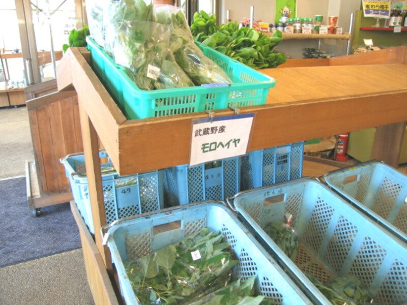 地元で採れた野菜