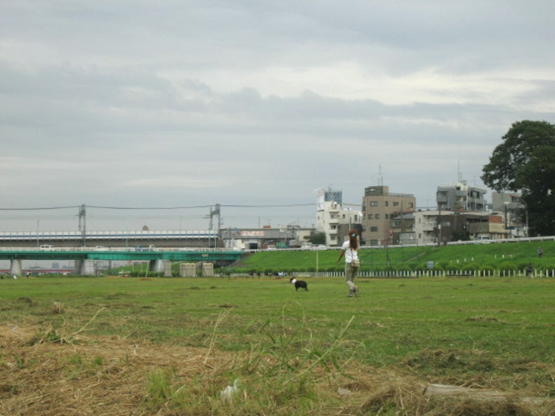多摩川を散歩する人