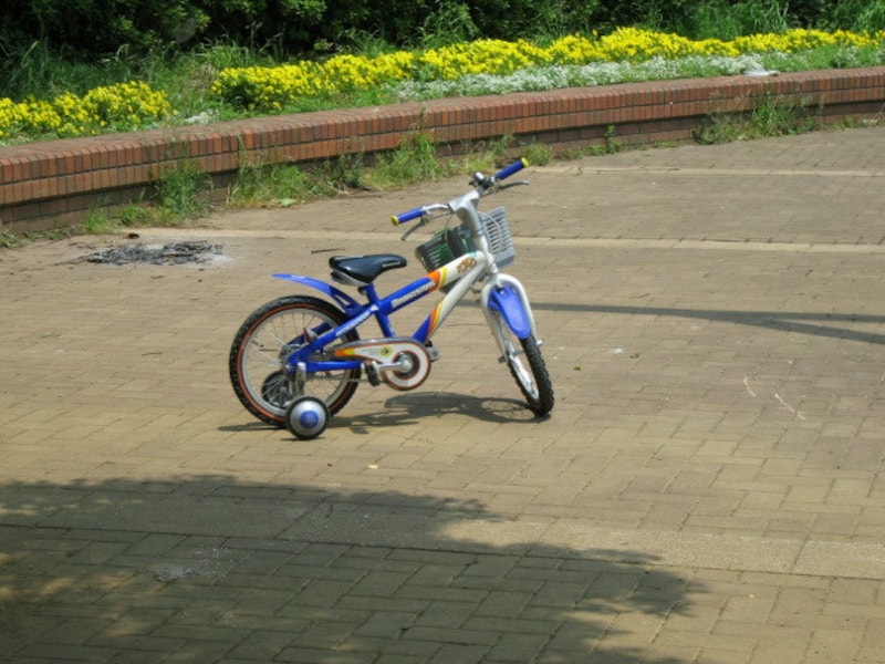 子どもをめぐる環境