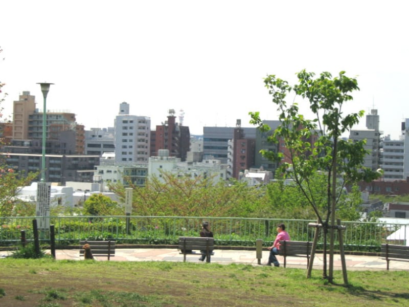 西郷山公園