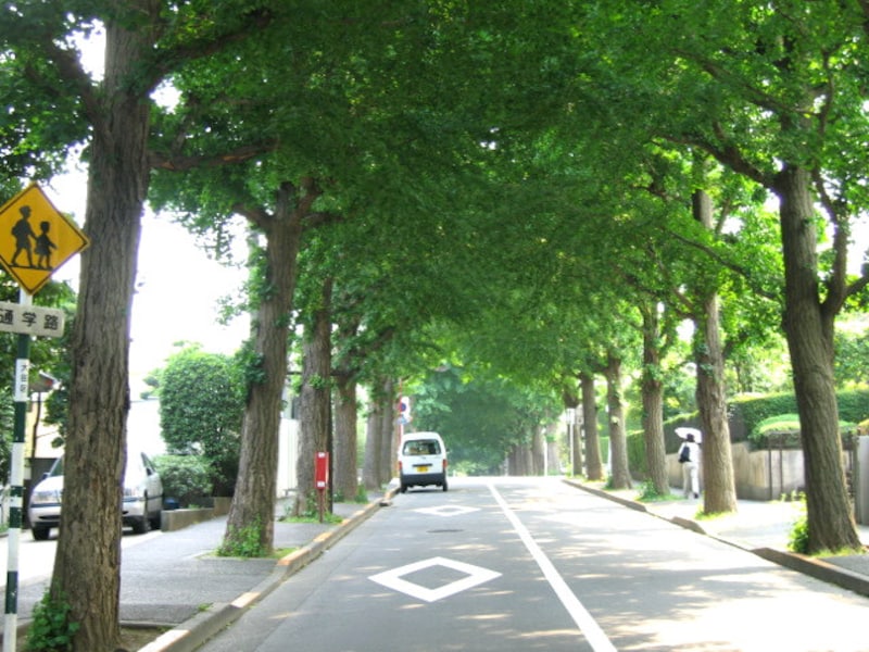 田園調布の街並み
