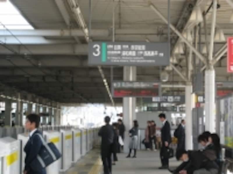 武蔵小杉からは都営三田線、東京メトロ南北線直通路線が利用できる