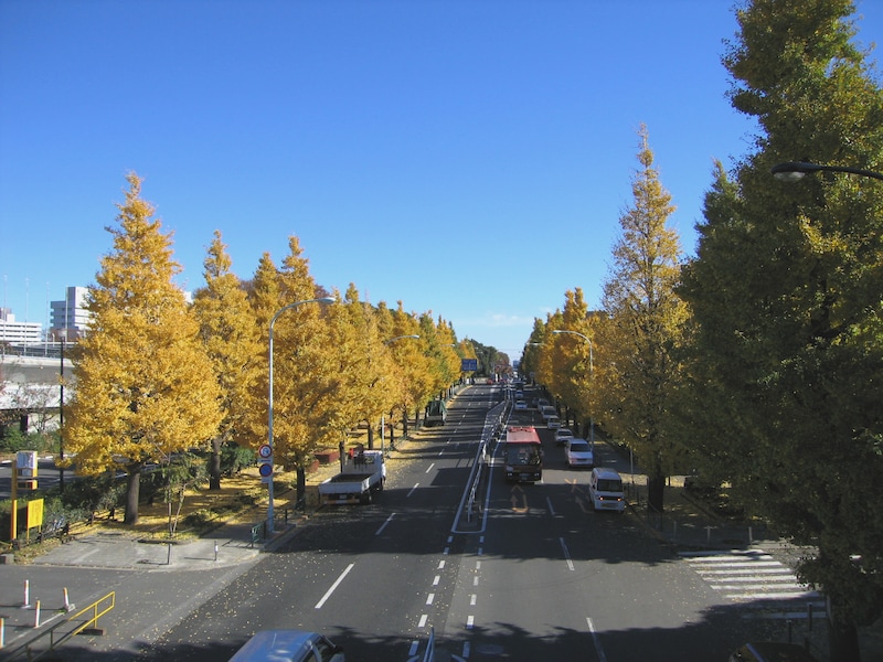 駒沢公園の紅葉