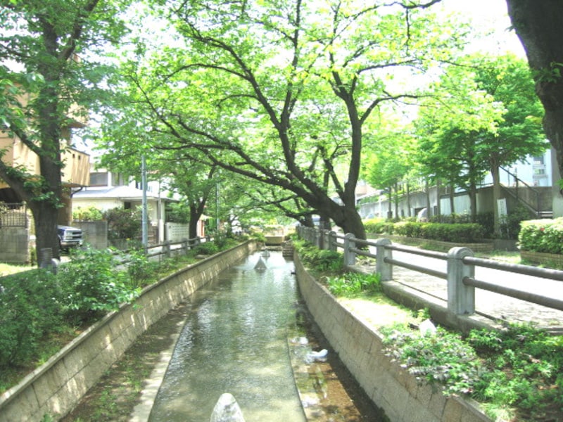 呑川緑道