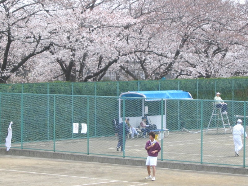 駒沢公園内、テニスコート